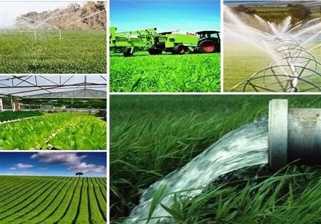 ۷۰ هکتار از پرونده‌های سرمایه‌گذاری کشاورزی خراسان شمالی تعیین تکلیف شد