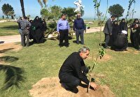 کاشت ۲۵ هزار نهال با مشارکت مردم در بوشهر