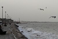 پیش‌بینی وزش باد و خیزش گردوخاک برای بوشهر